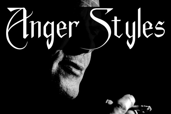 Anger Styles Example 3