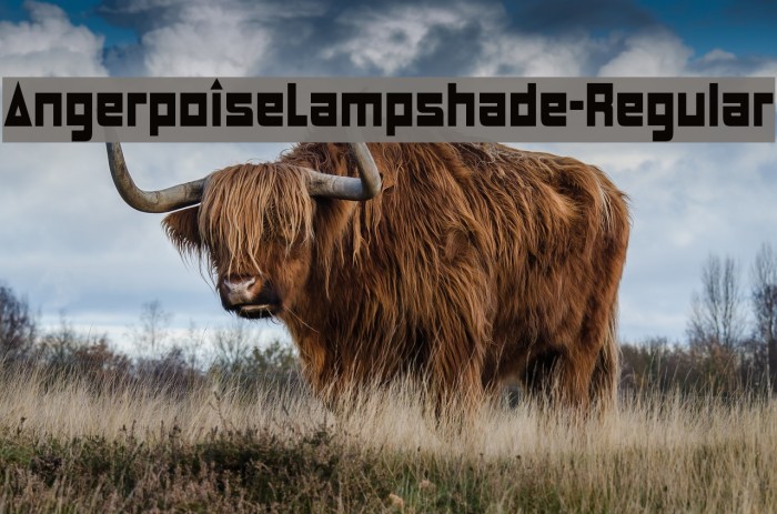 AngerpoiseLampshade-Regular Font examples
