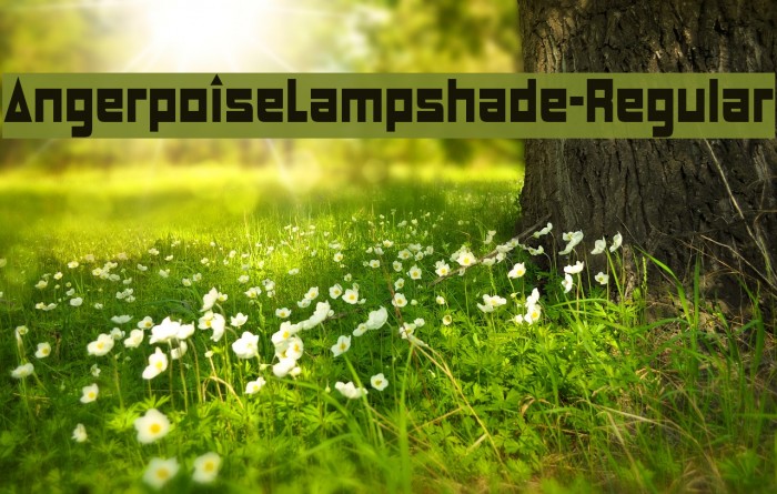 AngerpoiseLampshade-Regular Font examples