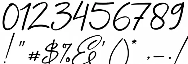 Angers Script Font OTHER CHARS