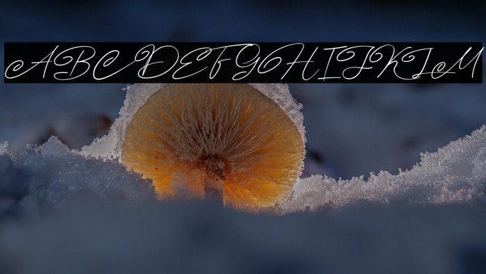 Angers Script Example 3