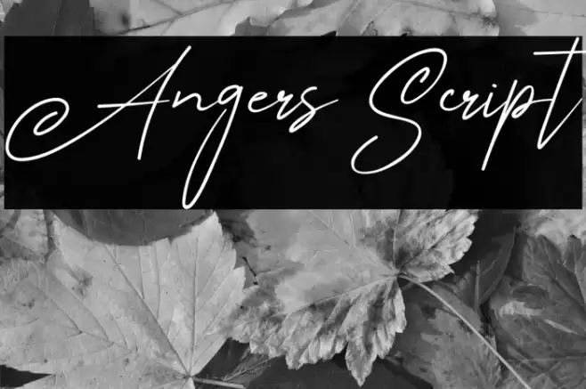 Angers Script Font examples