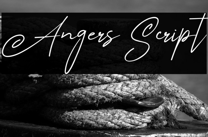 Angers Script Example 2