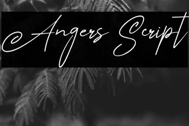Angers Script Font examples