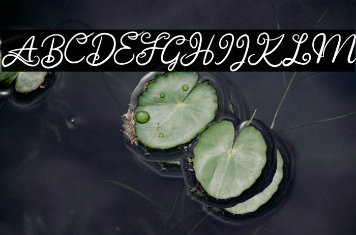 AnggitaFREE Example 2