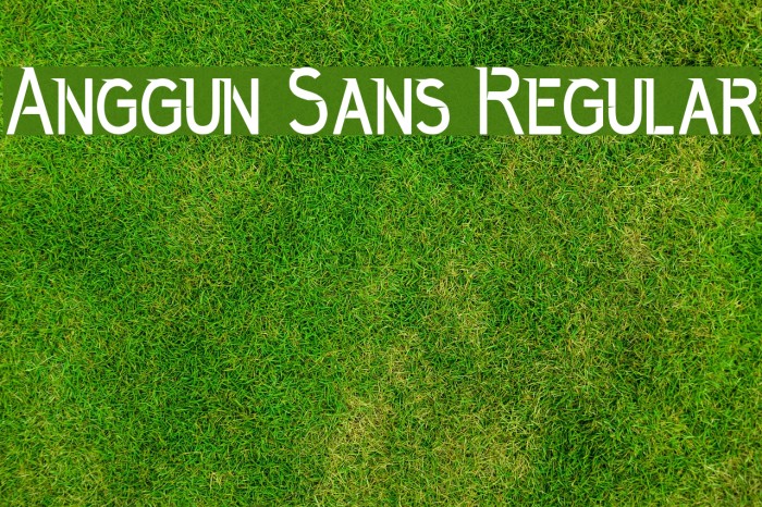 Anggun Sans Regular Font examples