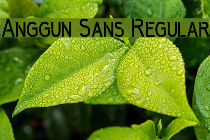 Anggun Sans Regular Font examples