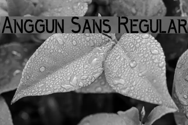 Anggun Sans Regular Schriftart examples