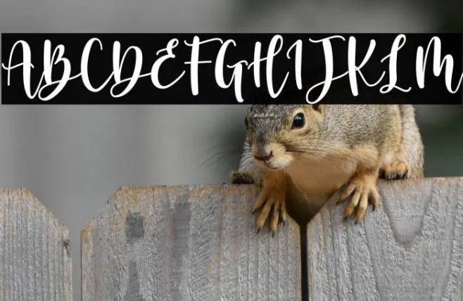 Anghine Darma Example 2