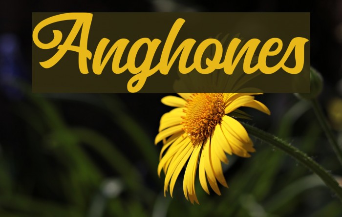Anghones Font examples
