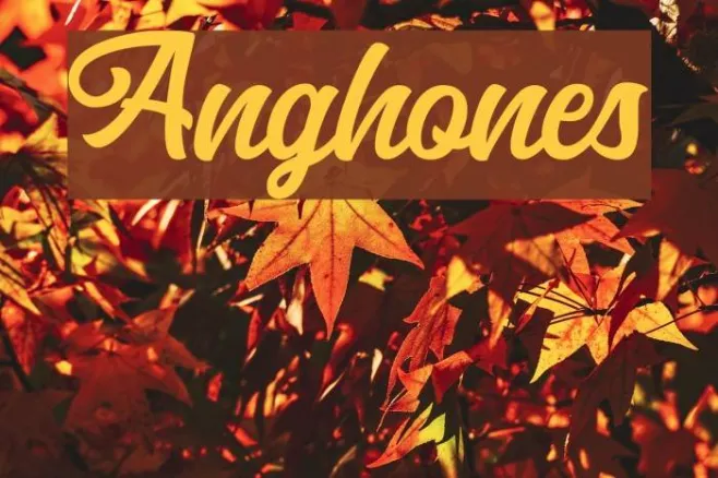 Anghones Example 2