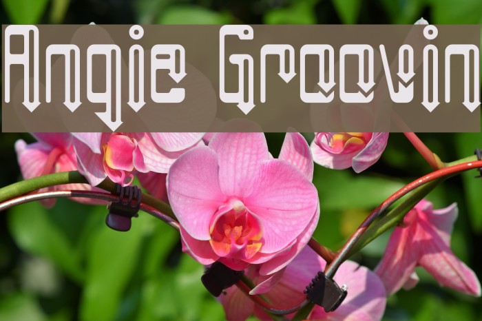 Angie Groovin Example 1