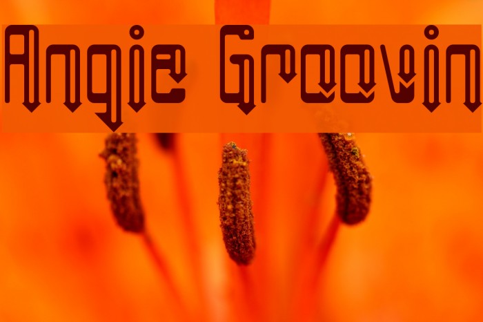 Angie Groovin Example 2