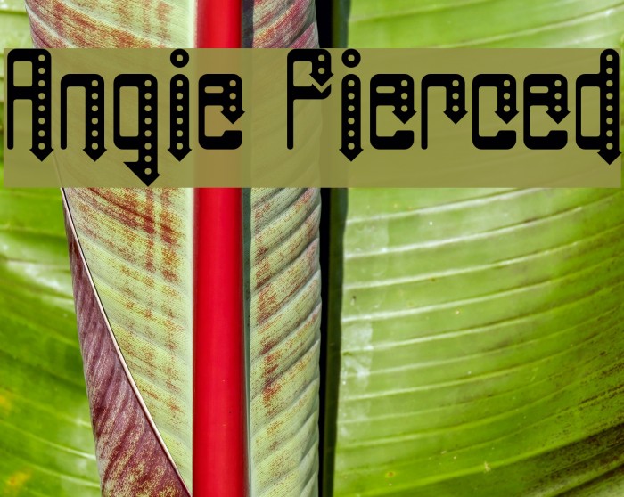 Angie Pierced Example 3