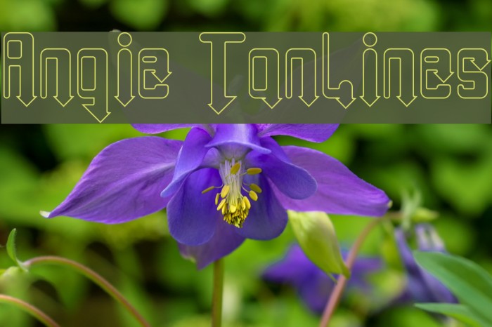 Angie TanLines Example 1