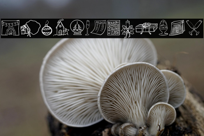 Angie's Christmas Example 3