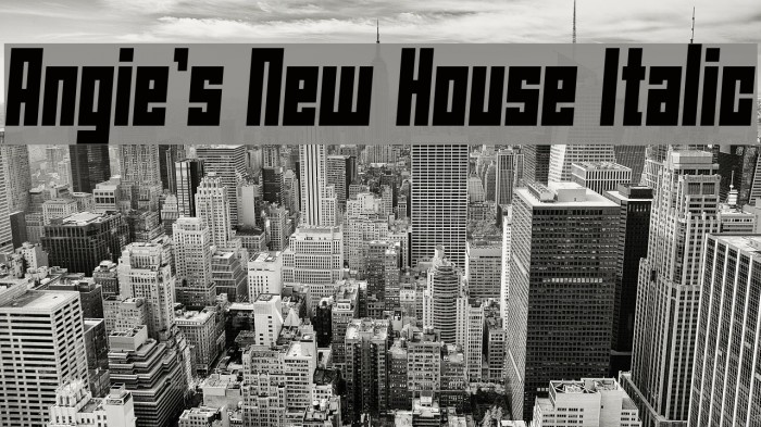 Angie's New House Italic Font examples