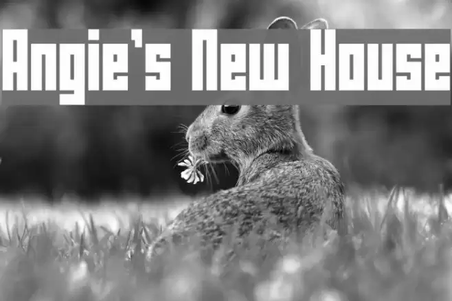 Angie's New House Font examples
