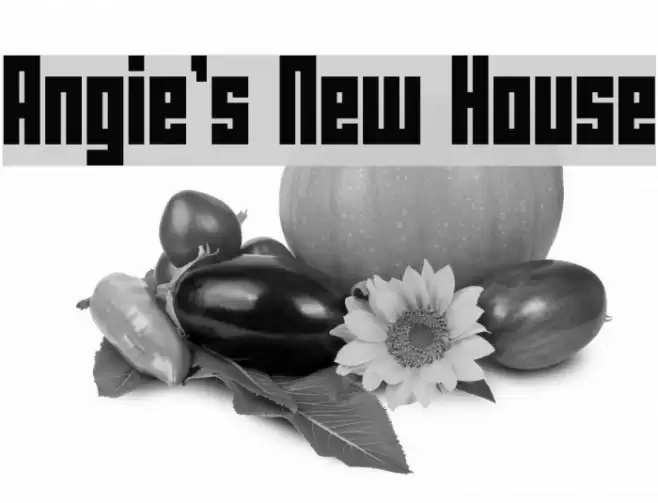 Angie's New House Font examples