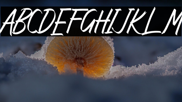 Angika Jaya Example 1