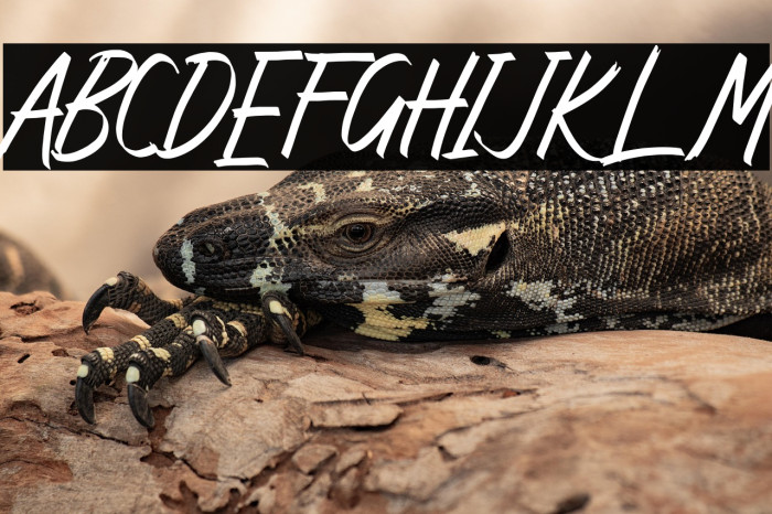 Angika Jaya Example 2