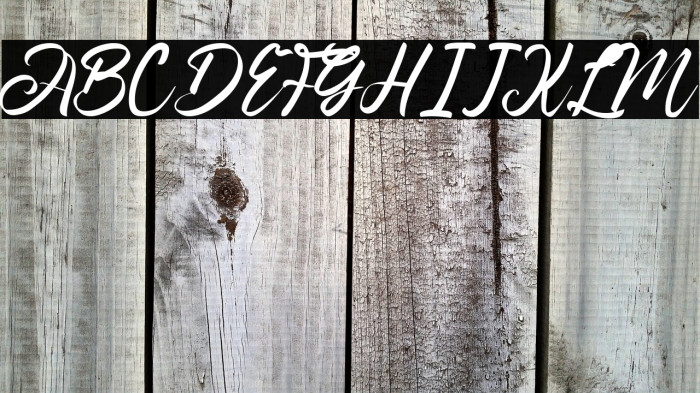 Angilla Denis Example 2