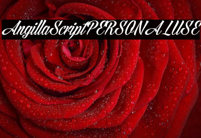 AngillaScriptPERSONALUSE Example 1