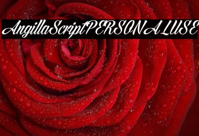 AngillaScriptPERSONALUSE Example 1