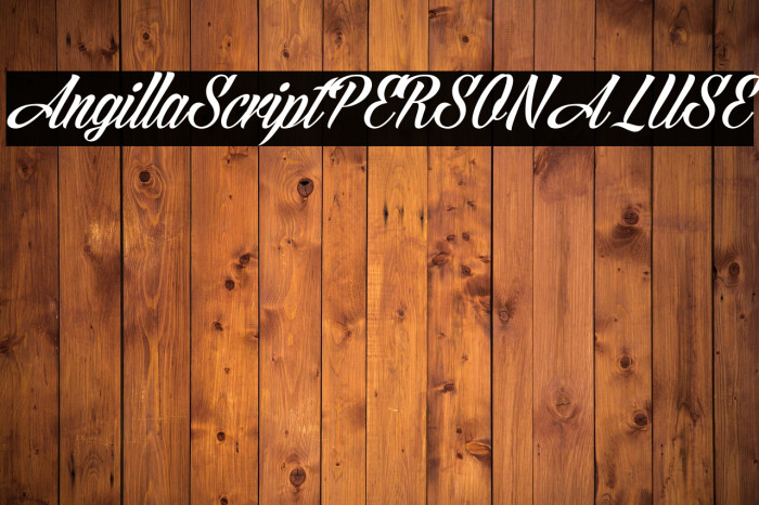 AngillaScriptPERSONALUSE Example 2