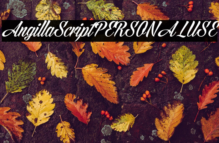 AngillaScriptPERSONALUSE Example 3