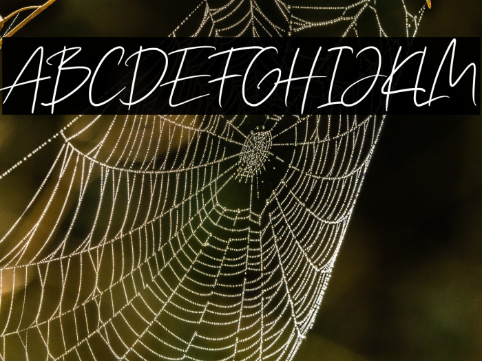 Angin Senja Example 3