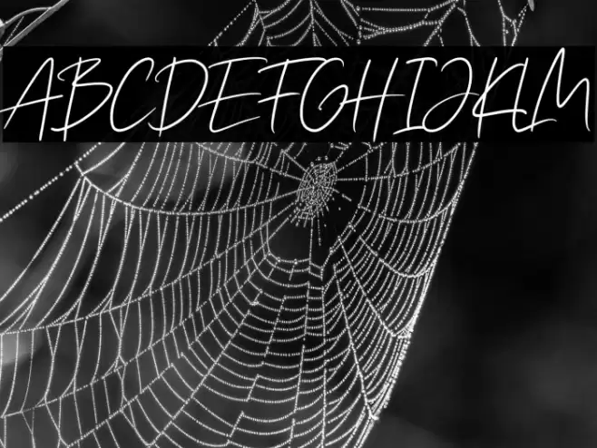 Angin Senja Font examples