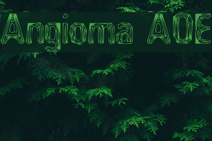 Angioma AOE Font examples