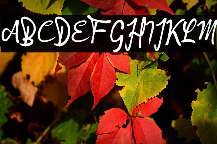 Angkanya Sebelas_ Example 1