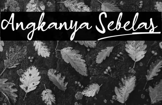 Angkanya Sebelas_ Font examples