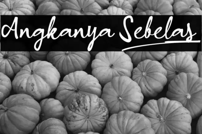 Angkanya Sebelas_ Font examples