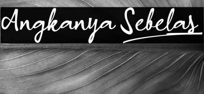 Angkanya Sebelas_ Font examples