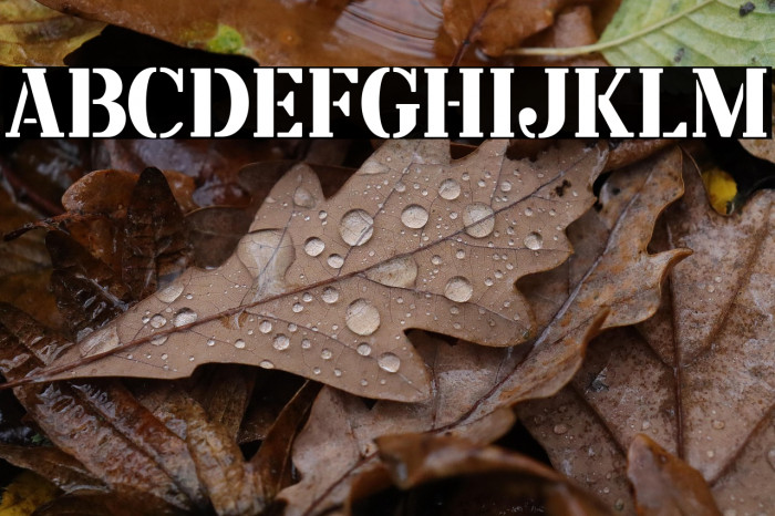 Angkatan Bersenjata Example 1