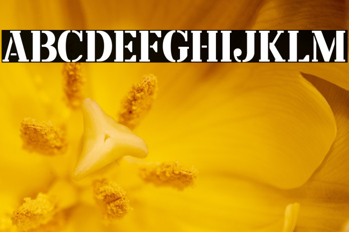 Angkatan Bersenjata Example 2