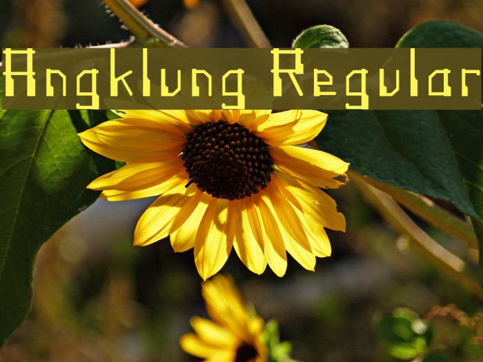 Angklung Regular Example 3