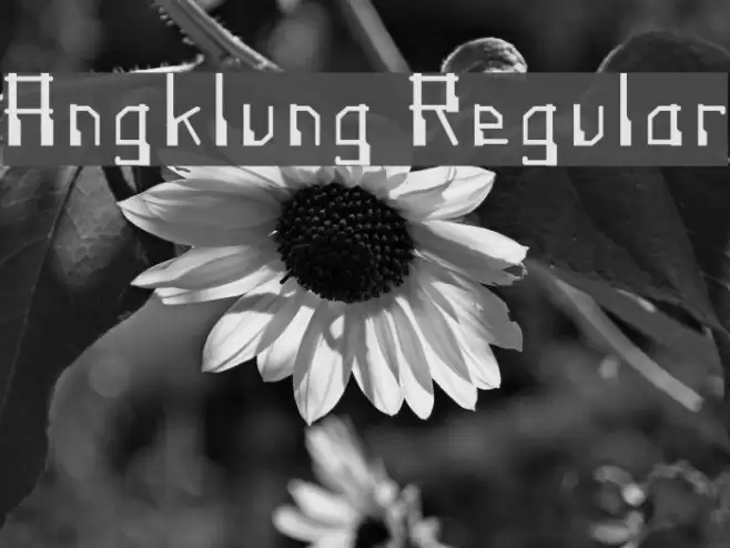 Angklung Regular Font examples