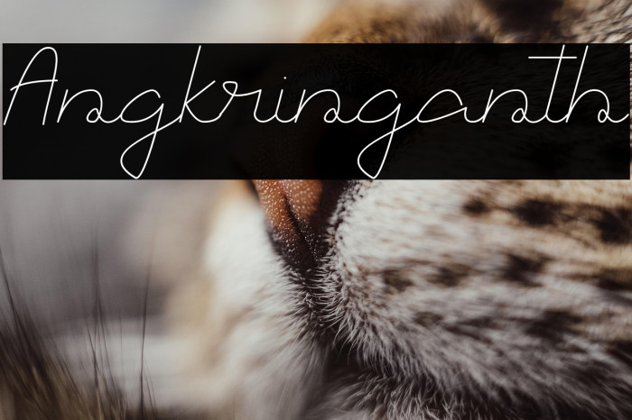 Angkringanth Example 2