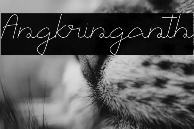 Angkringanth Font examples