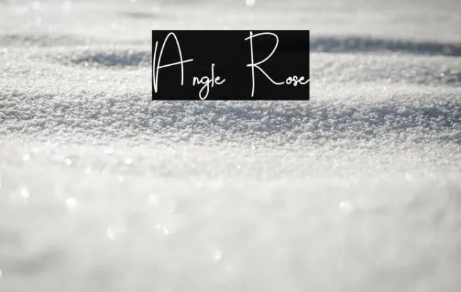 Angle Rose Example 1