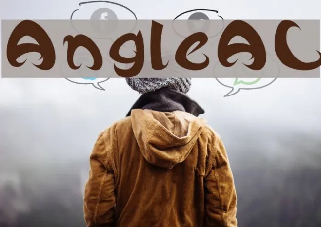 AngleAL Example 1