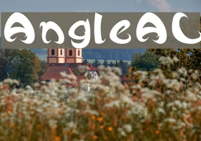 AngleAL Example 2