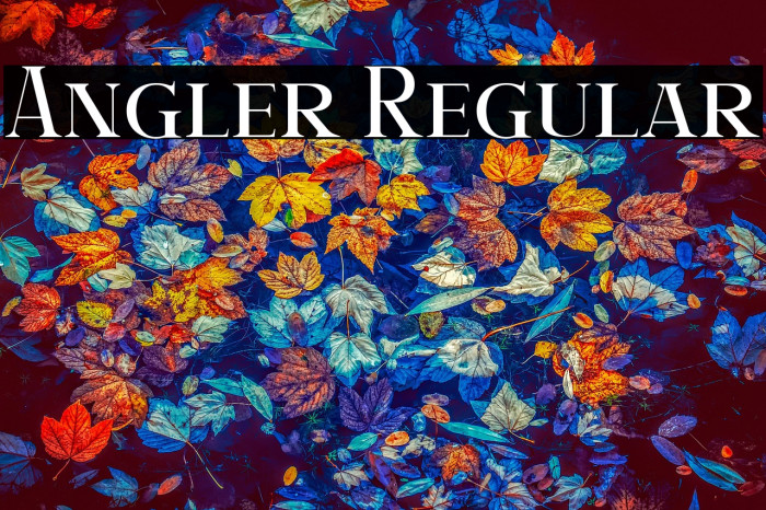 Angler Regular Example 3