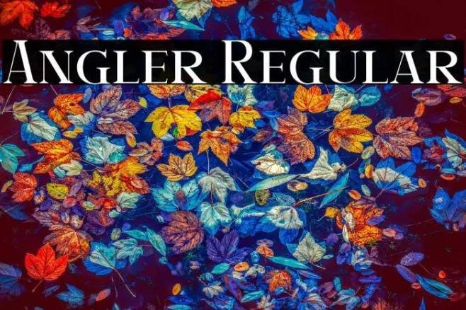 Angler Regular Example 3