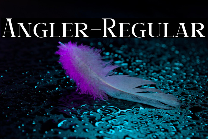 Angler-Regular Example 1