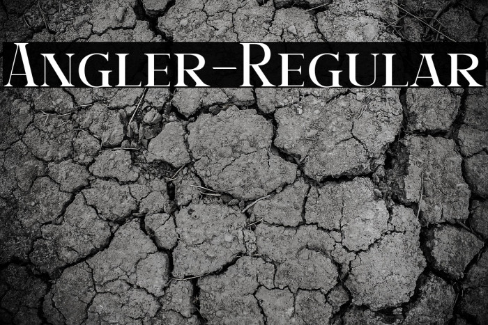 Angler-Regular Example 3